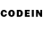 Псилоцибиновые грибы GOLDEN TEACHER RENAT janc