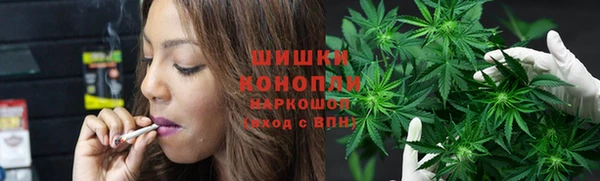 прущие грибы Аркадак