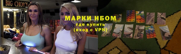 прущие грибы Аркадак