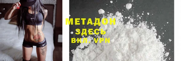 прущие грибы Аркадак