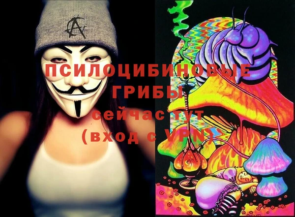 твердый Армянск