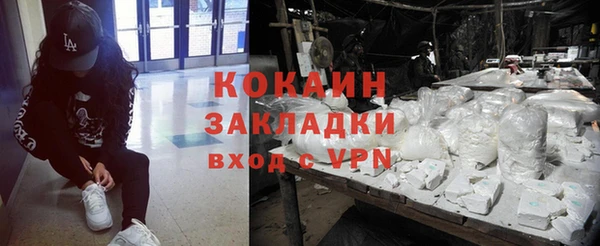 прущие грибы Аркадак